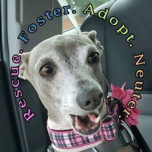 Meet your Posher, Sheryl